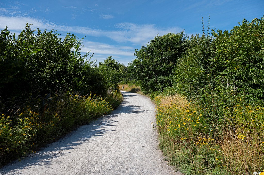  Blåsebergavägen 29