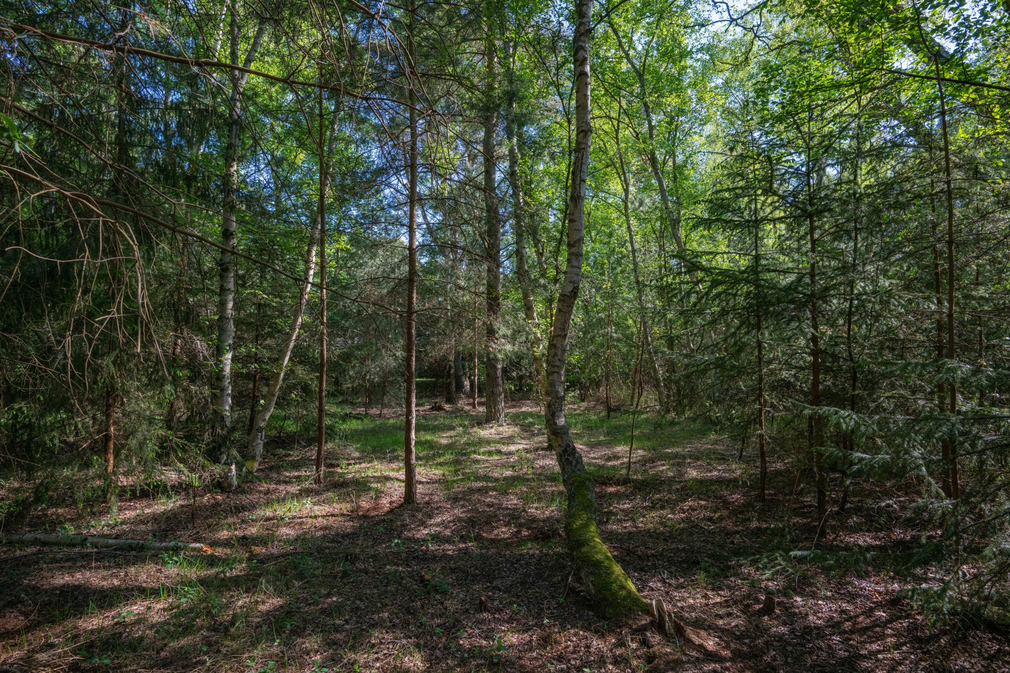  Västra Vråkvägen 16