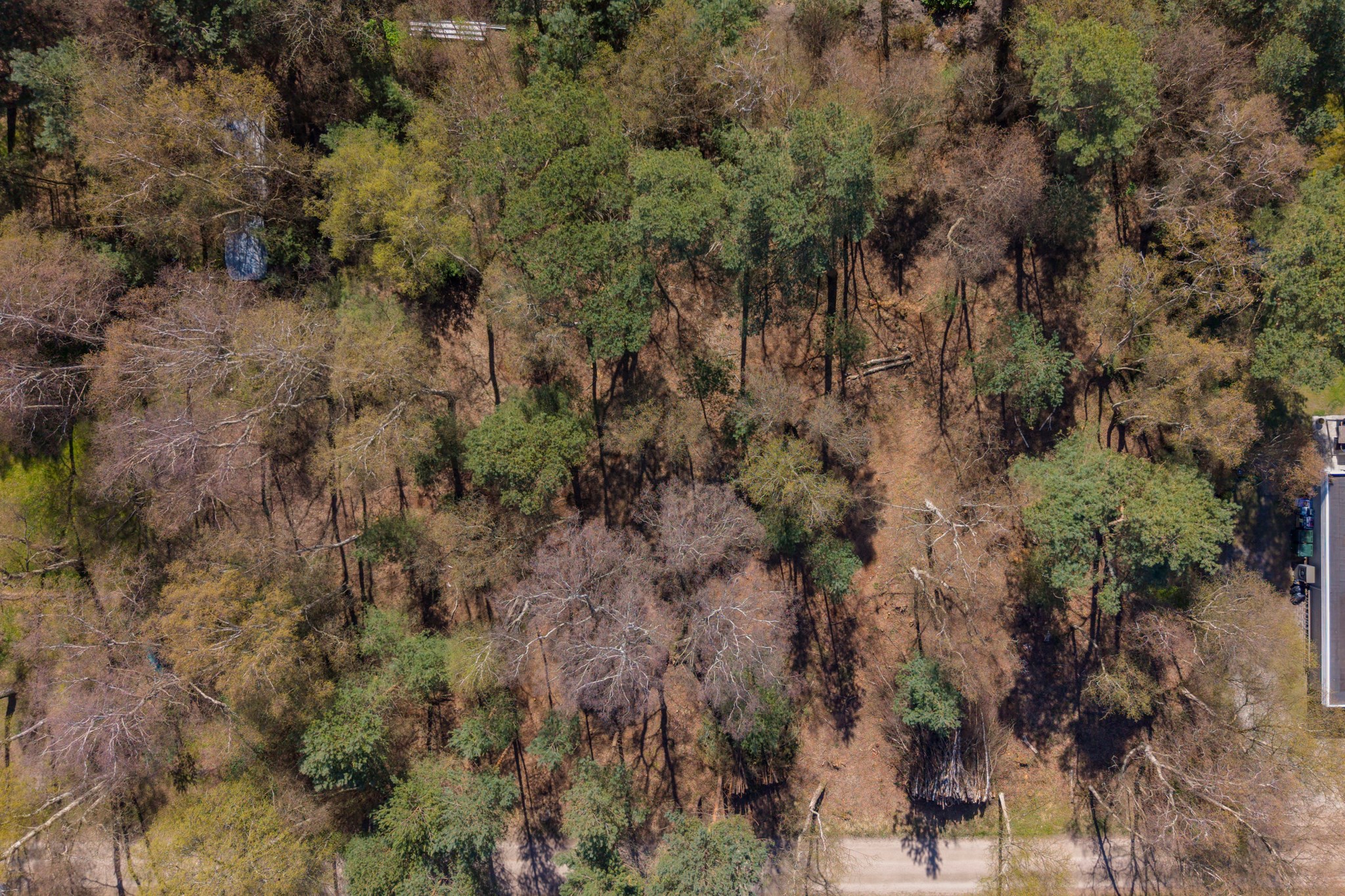  Västra Vråkvägen 16