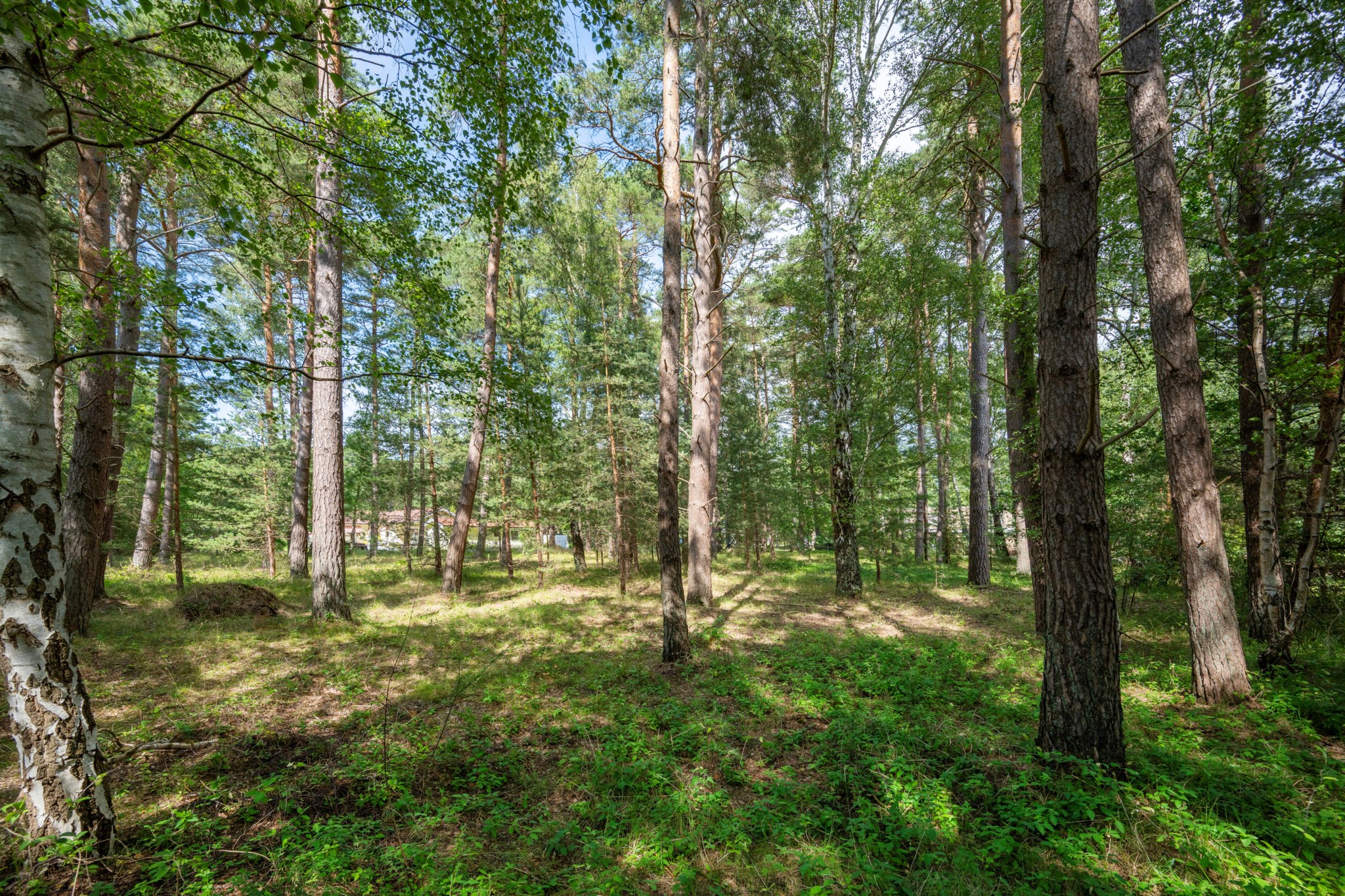  Berghs väg 37