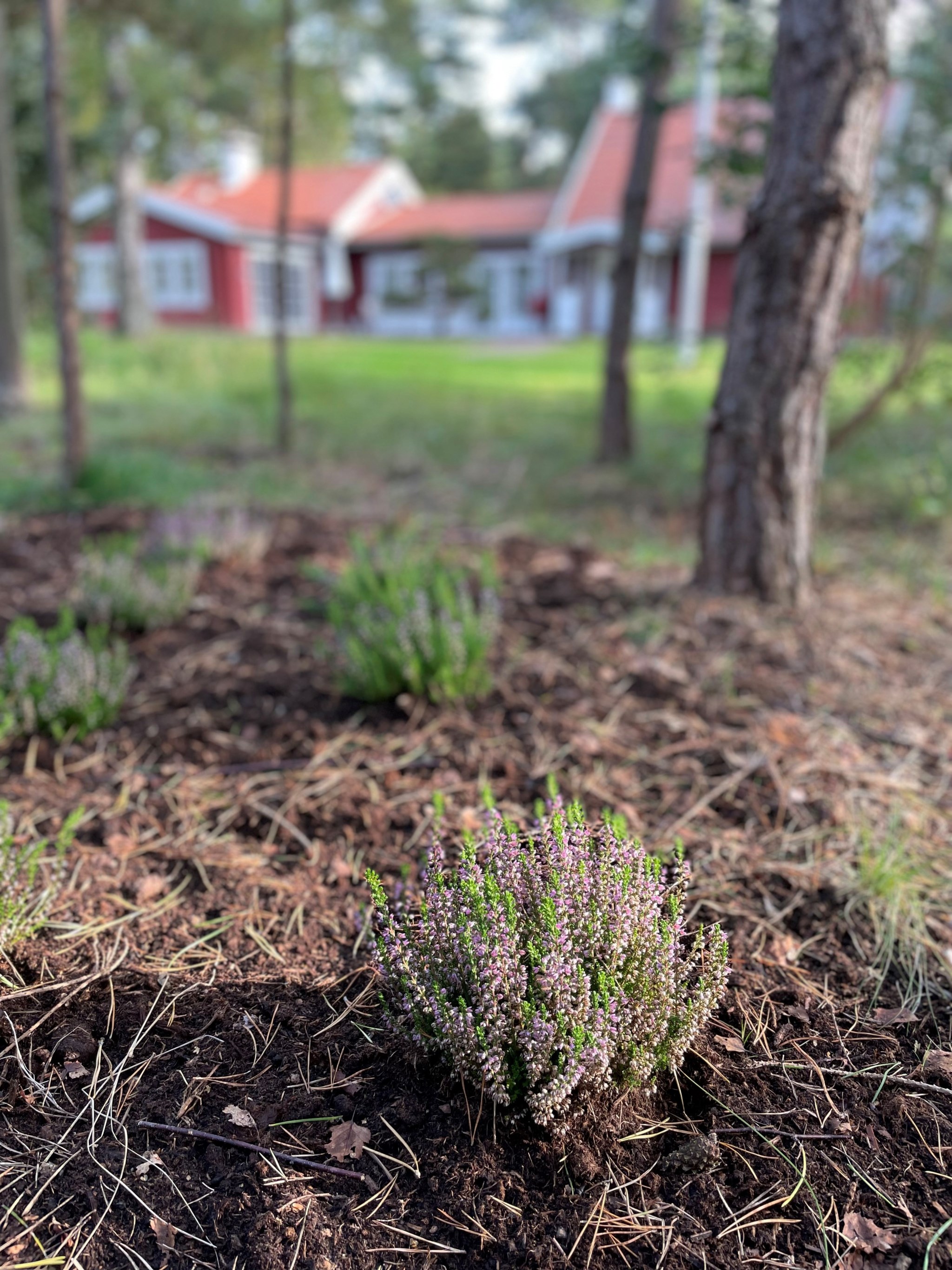  Kråkbärsvägen 8