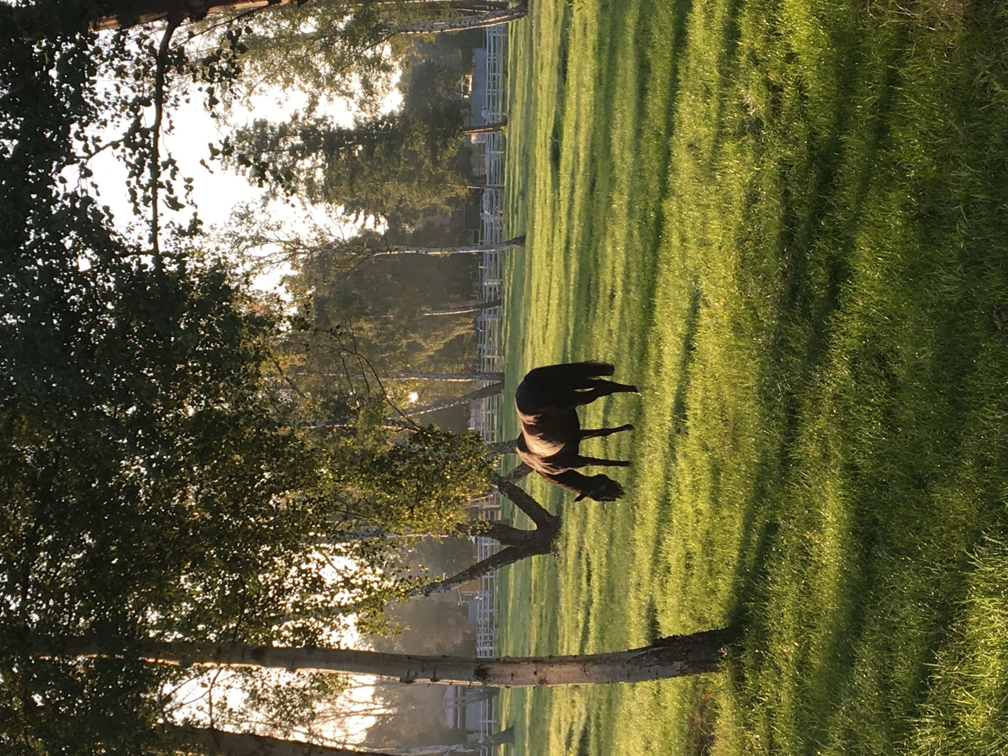  Backavägen 3