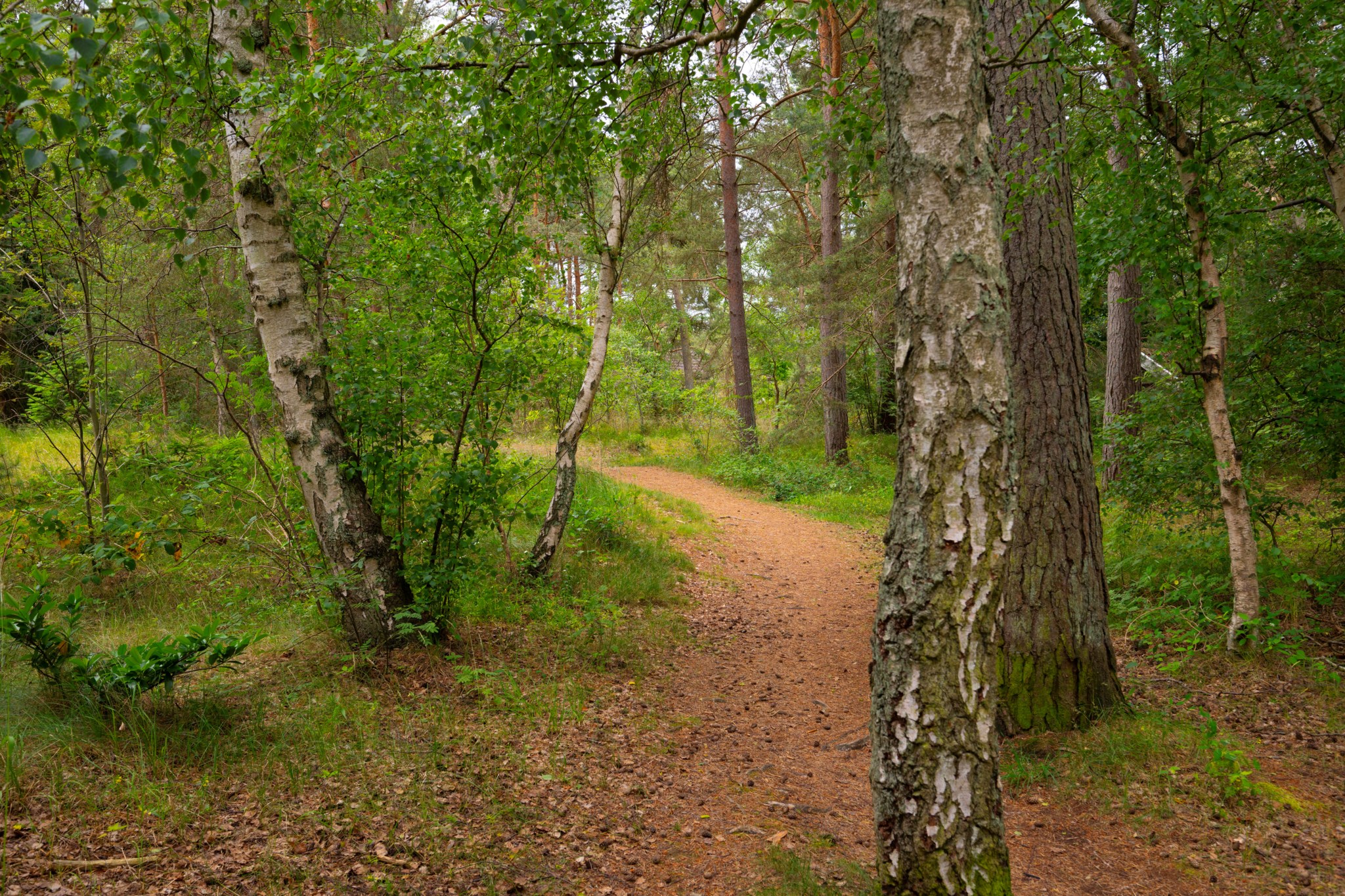  Vikensvägen 13A