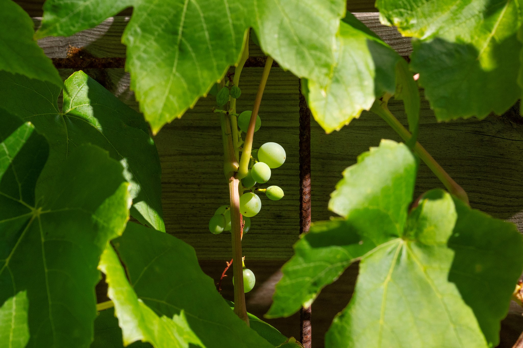 Västra Klockarevägen 10