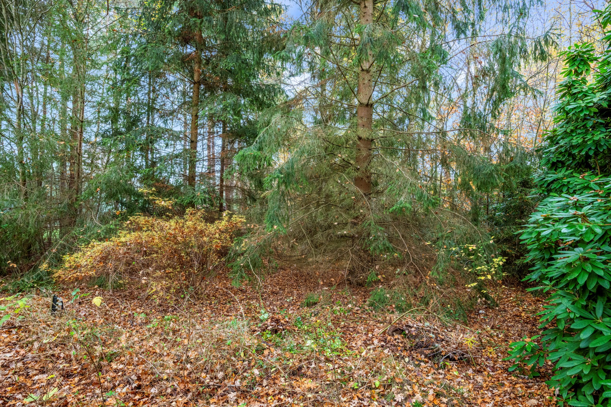  Västra Vråkvägen 6