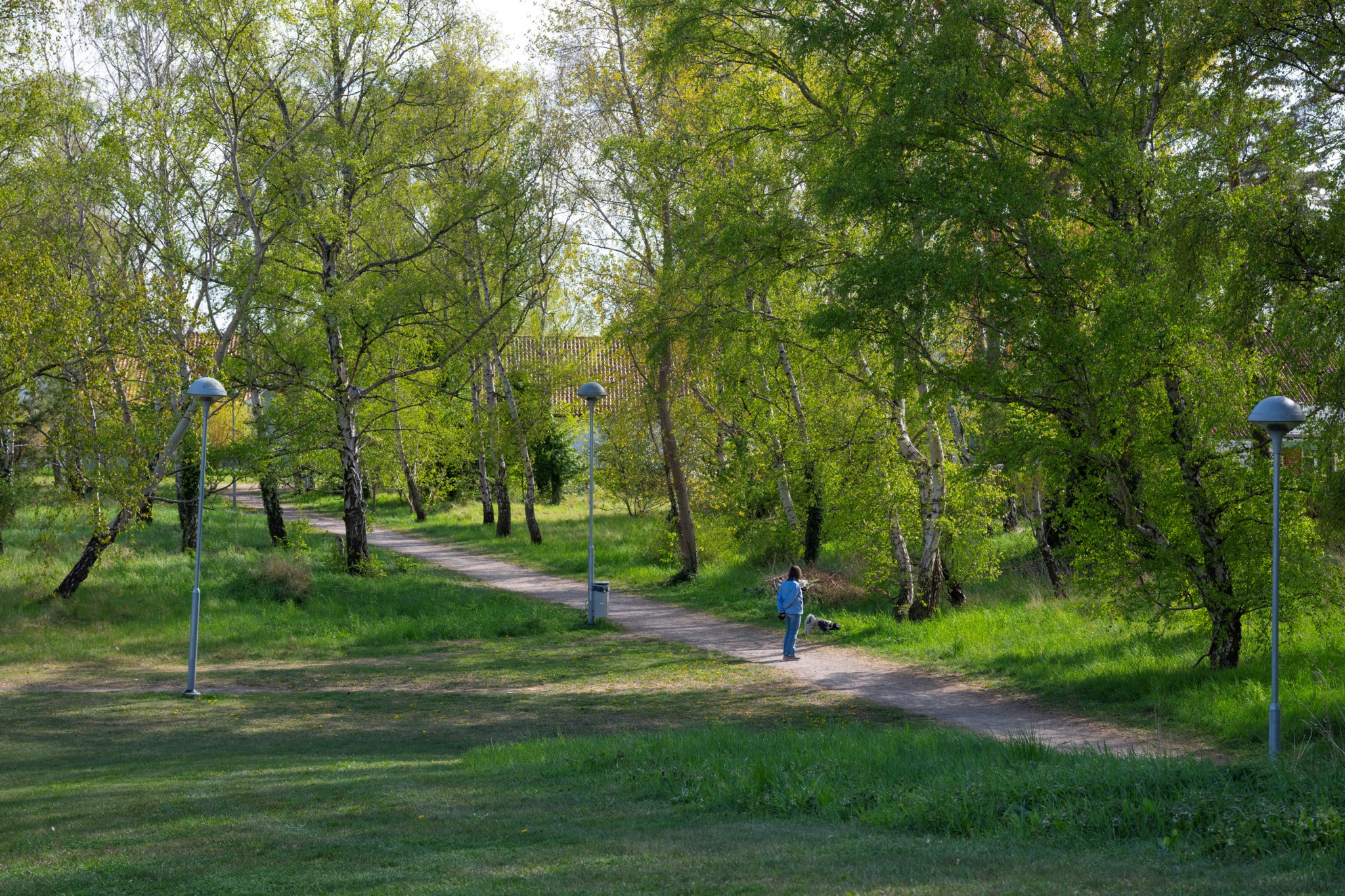  Timmermansgången 5