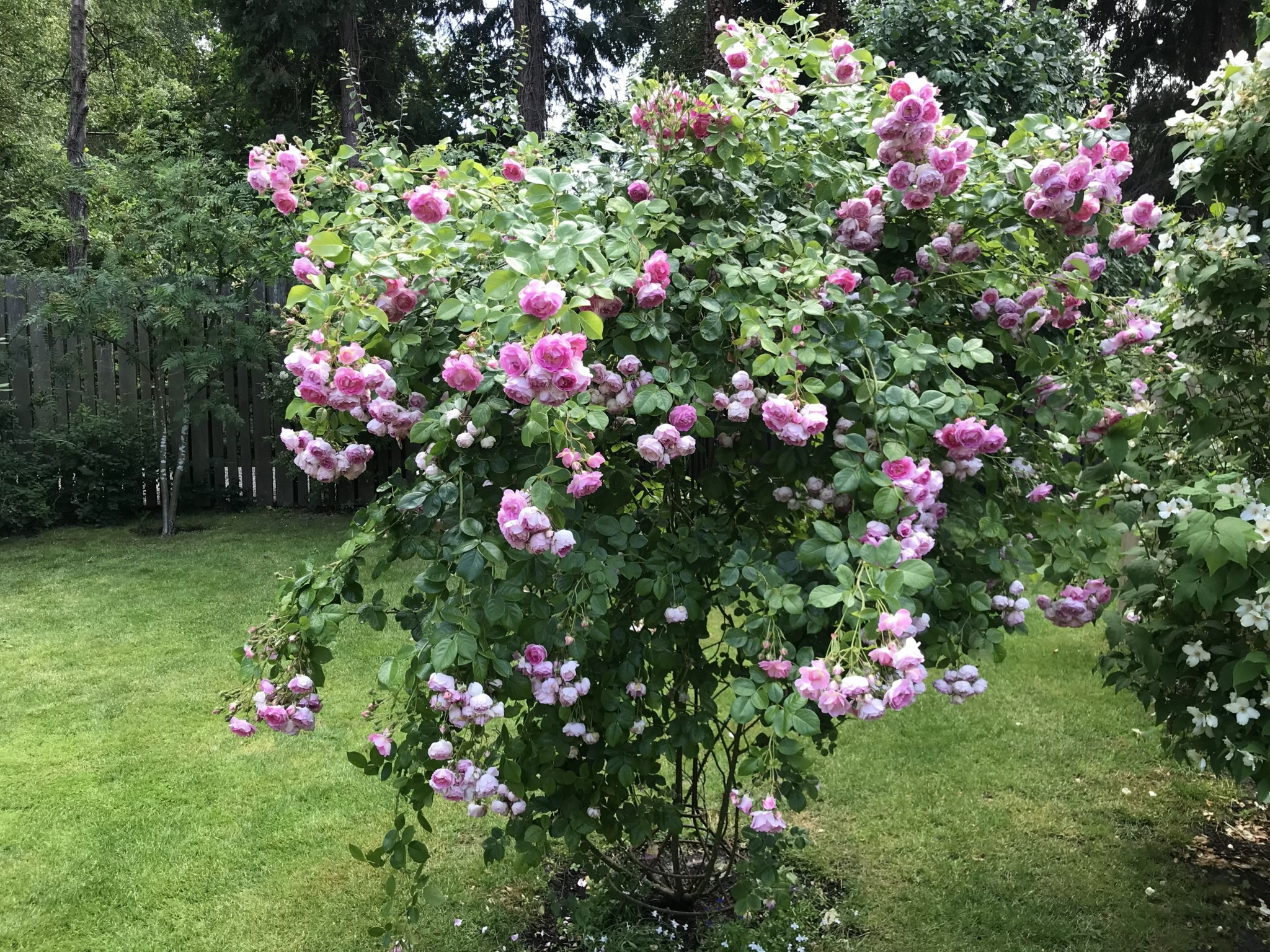  Gottåkravägen 2A