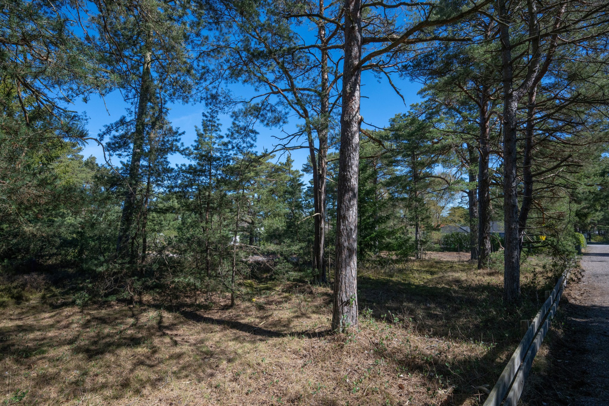  Höllvikstrandsvägen