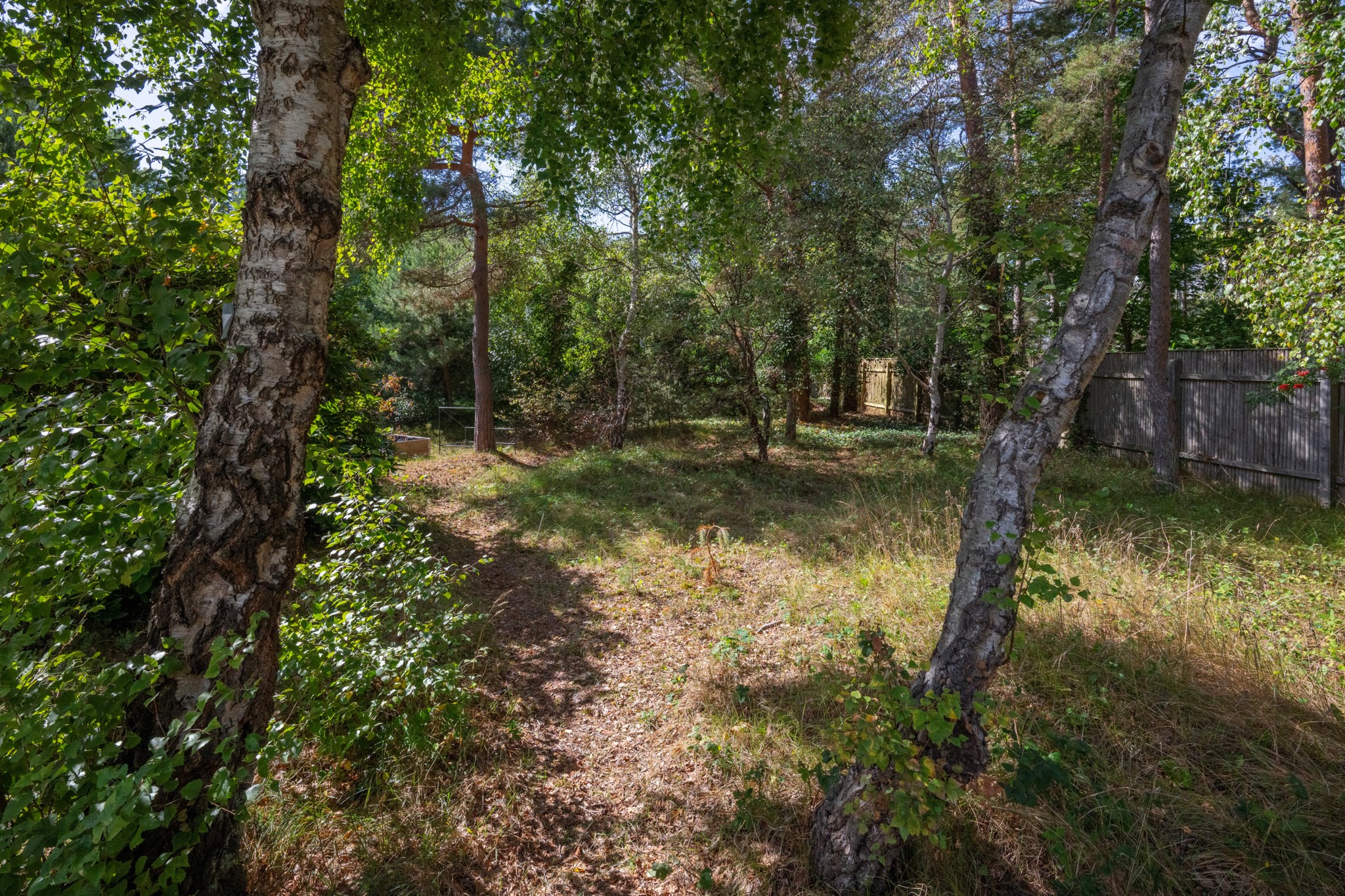 Rådjursvägen 55