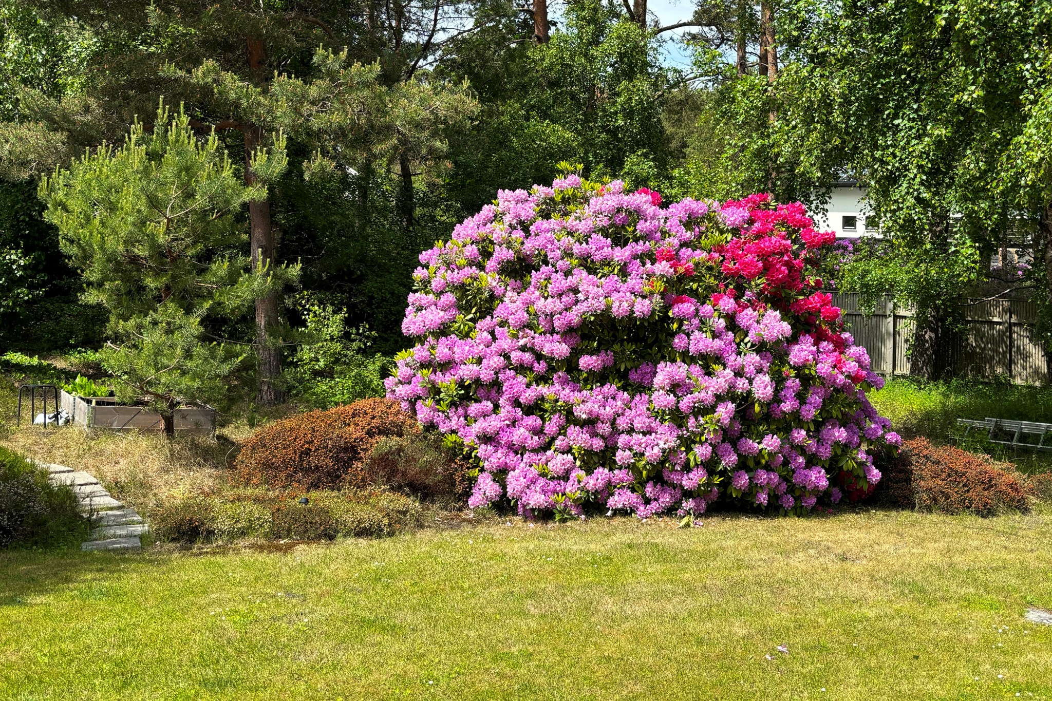  Rådjursvägen 55