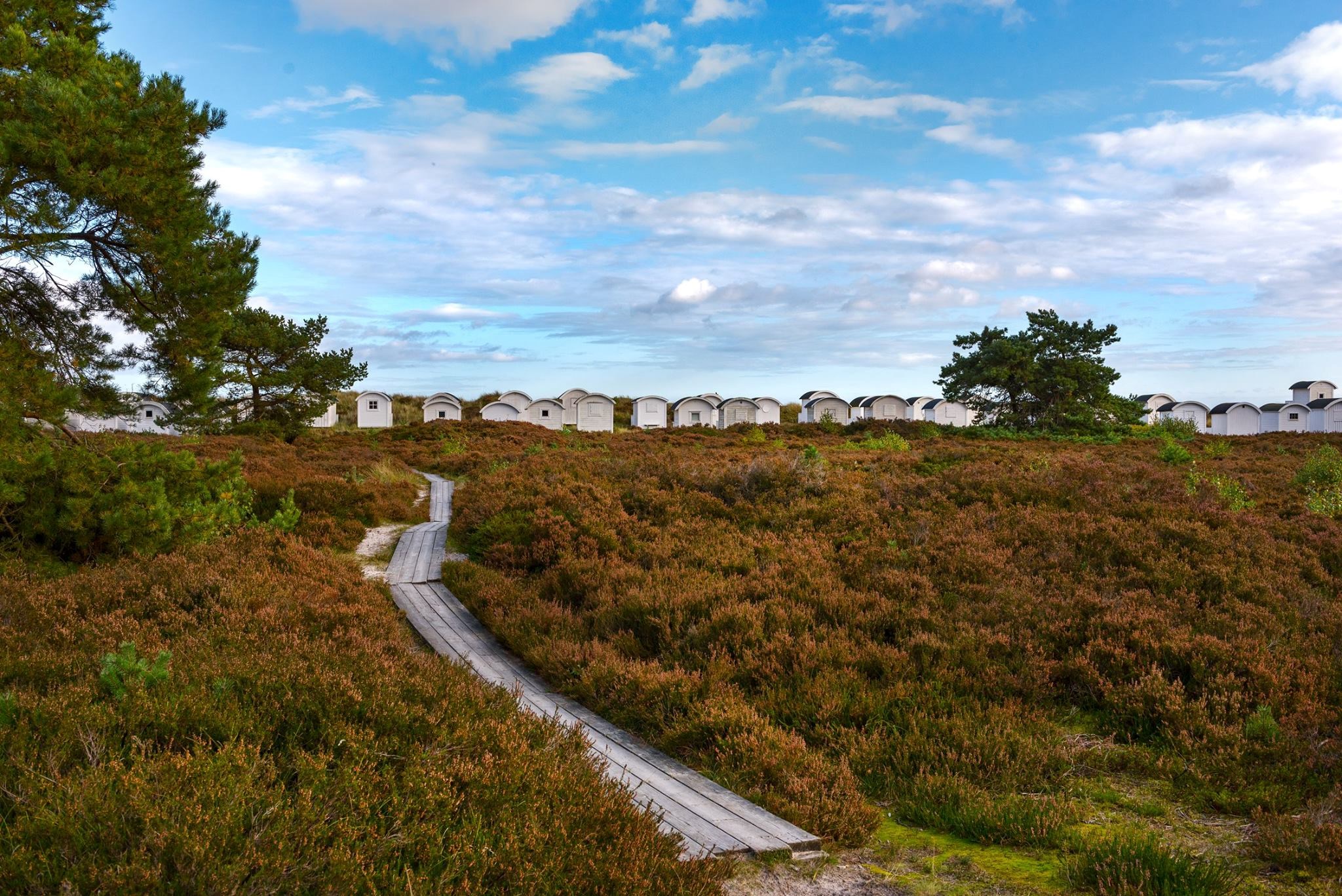  Rådjursvägen 55