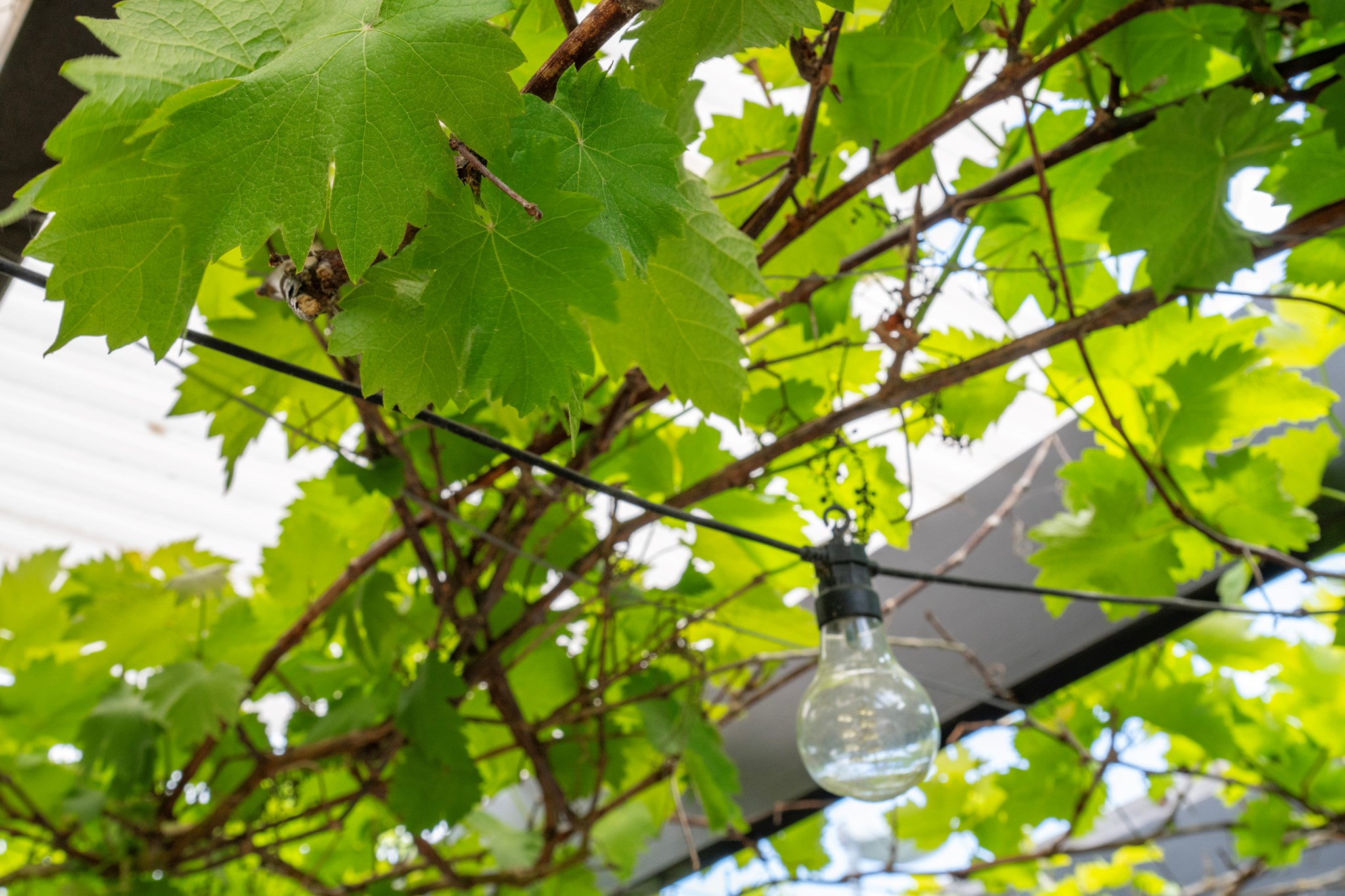  Alviksvägen 17