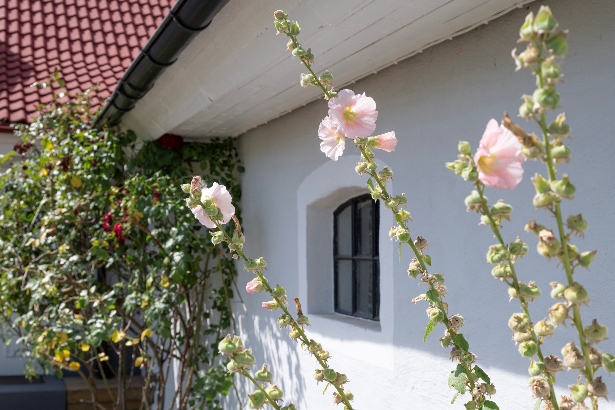  Sandåkra Byväg 23