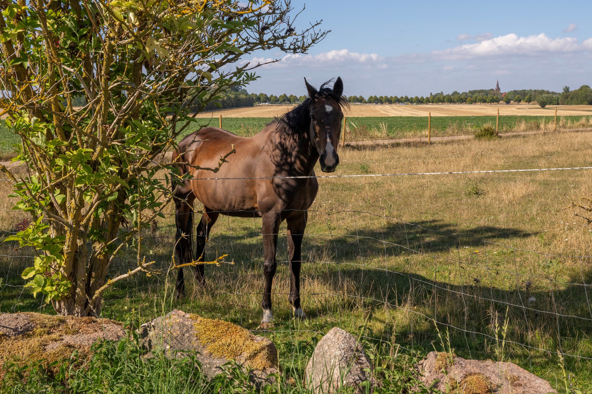  Hermanstorpsvägen 86
